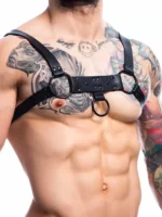 H4rness C4M - Party Harness - Sort - Bilde 5
