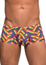 Male power - Mini short - Pride mønster