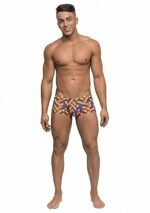 Male power - Mini short - Pride mønster