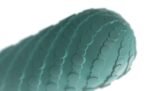 Arcwave - Ghost - Onanihylse - Mint
