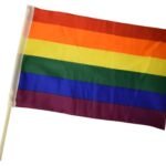 Pride - Rainbow Bilflagg - 2stk