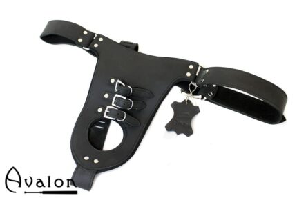 Avalon - GUILTY - Penis og Pung Harness - Svart