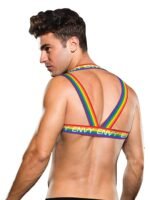 Envy - Pride Harness - S/M - Bilde 3