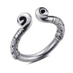 BQS - Viking glansring