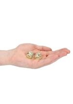 Kinky Dice - Erotiske Terninger - Gull