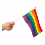 Pride flagg på pinne - Regnbue 