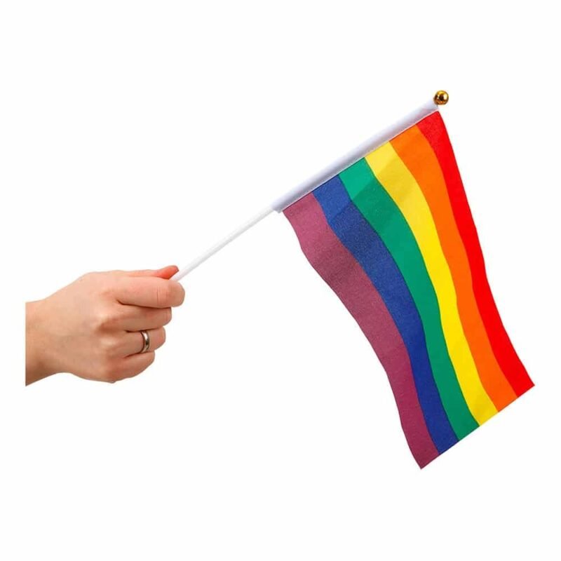 Pride flagg på pinne - Regnbue