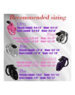 The Vice Micro - Chastity Set - Kuklås sett - Transparent