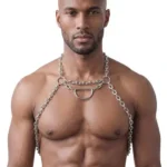 Svenjoyment - Harness i Metall